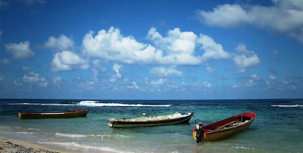 فندق Frenchman'S Cove بورت أنطونيو المظهر الخارجي الصورة