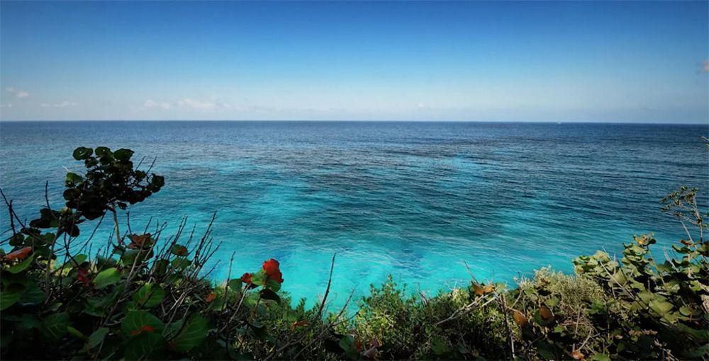 فندق Frenchman'S Cove بورت أنطونيو المظهر الخارجي الصورة